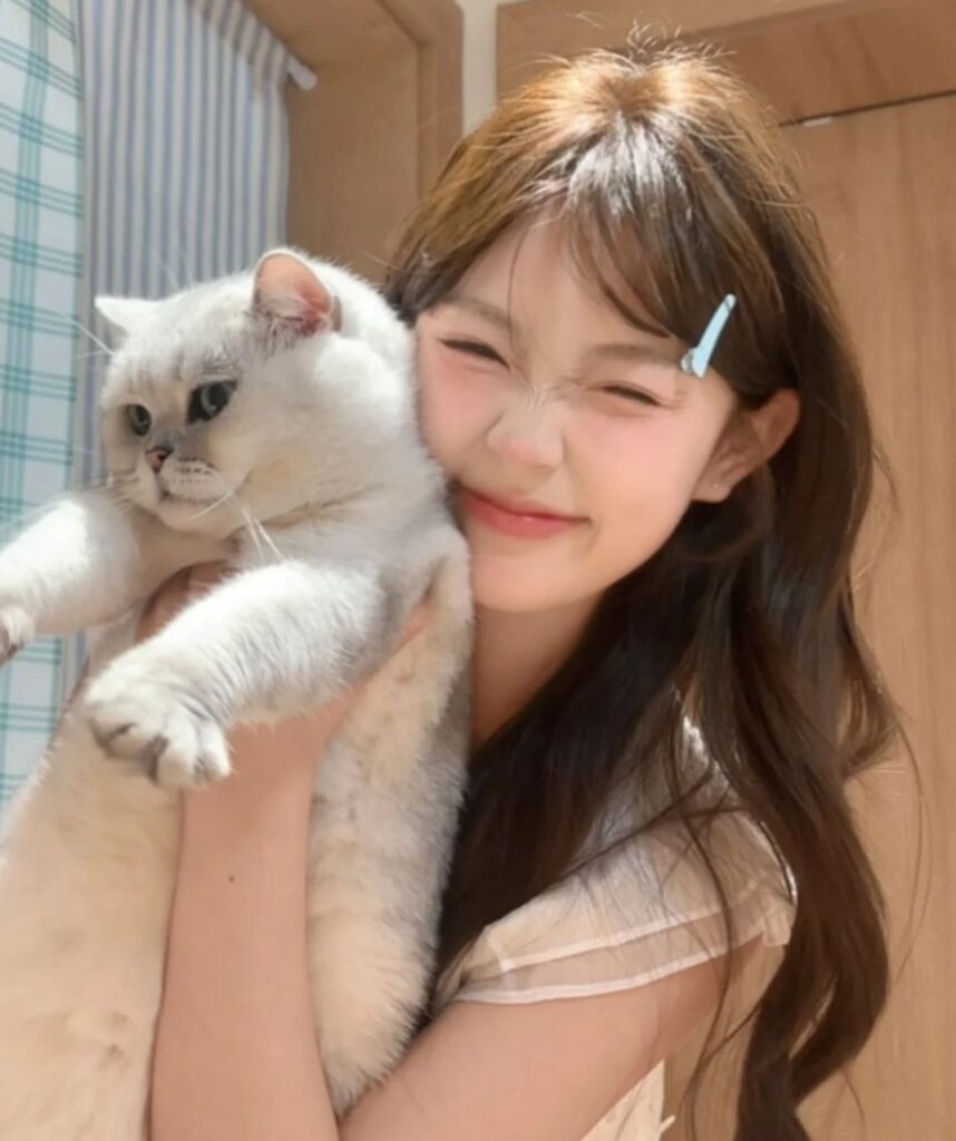 重庆企业家包养圈层